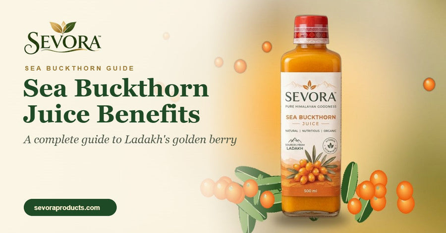 Sea Buckthorn Juice Benefits: A Complete Guide to Ladakh's Golden Berry